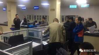 提升数据质量 确保精准脱贫——中厂镇脱贫攻坚工作纪实（四十四） 数据处理服务篇