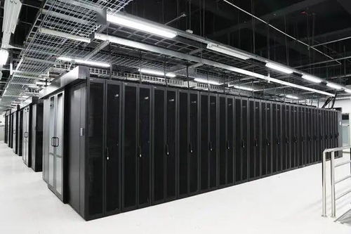 石家庄企业荣膺全国数字化转型伙伴行动首批倡议方，数据处理服务成关键引擎